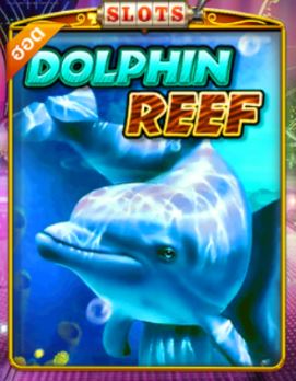 Pussy888-Dolphin Reef-puss888 ดาวโหลด apk-สล็อตออนไลน์